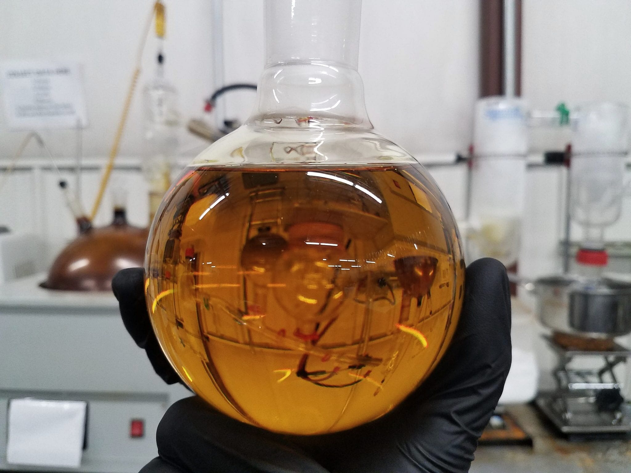 A gloved hand holding a round-bottom flask of amber extract in a lab, 2019
